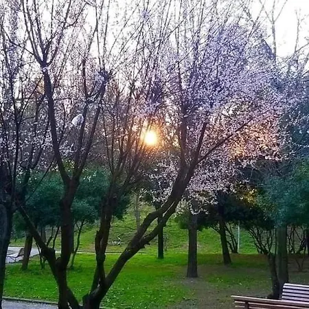 Sweet * Sant'Antonio Abate