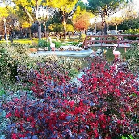Sweet Sant'Antonio Abate