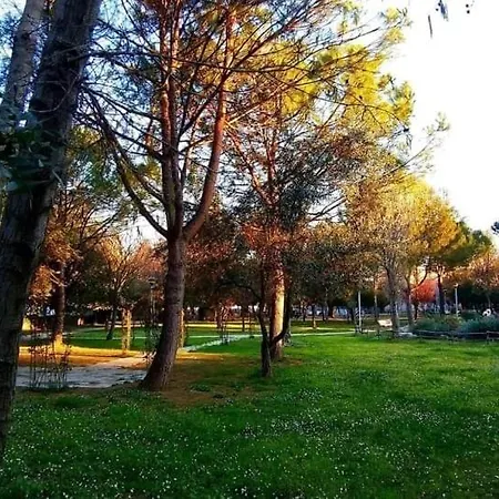 Sweet Sant'Antonio Abate