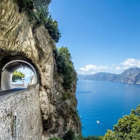 Sweet * Sant'Antonio Abate