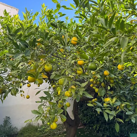 Casa vacanze Sweet